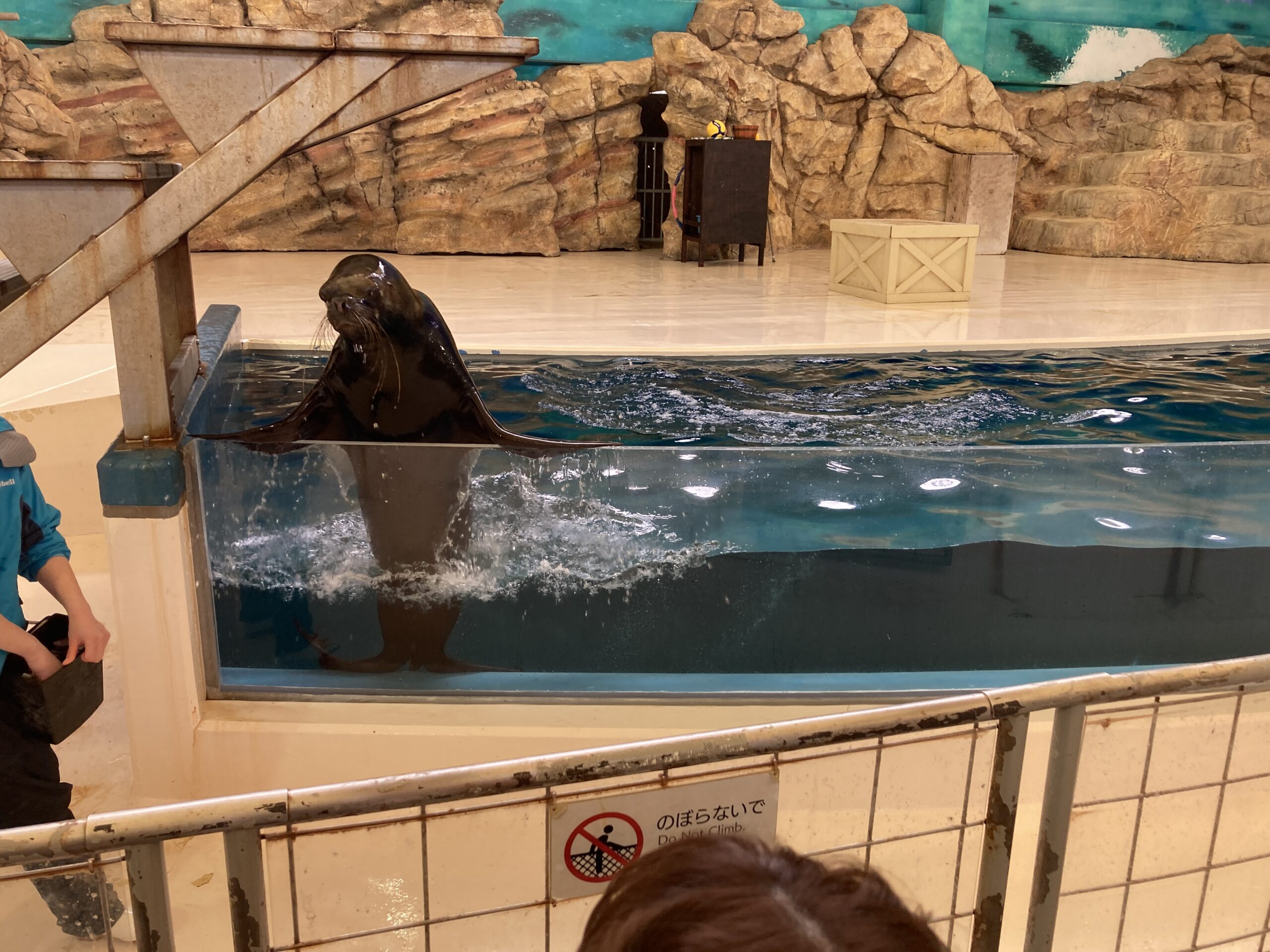 鳥羽水族館のアシカふれあいトーク